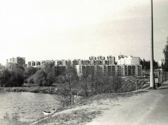 Пойма Сатиса - до.jpg